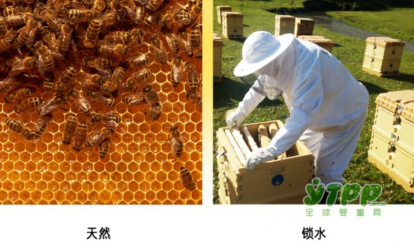为什么女明星怀孕还能美美的 你想要吗