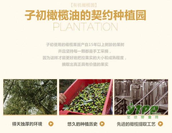 子初打造  性感孕妈  消除妊娠纹