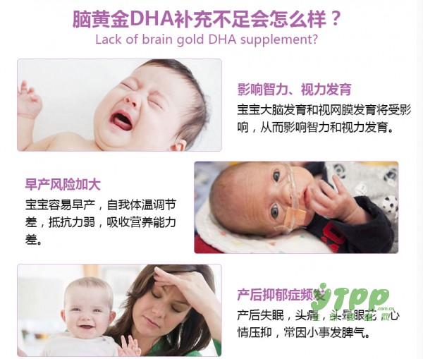 准妈妈为什么要在孕期补充DHA？