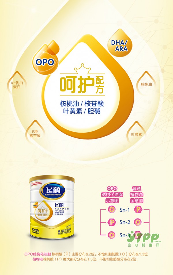 金巧巧喜得爱子  修得“好”字  初生儿宝宝喝什么奶粉好