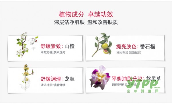 孕妈妈用什么洗面奶好   娇韵诗白吸盘均衡柔肤洁乳洗得更细致