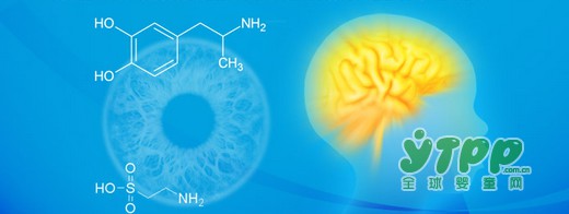 DHA、牛磺酸、锌对正在发育的孩子来说有多重要？