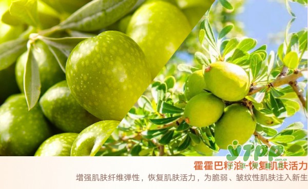 孕妇妊娠纹怎么消除  孕妈妈们一起来学习一下吧
