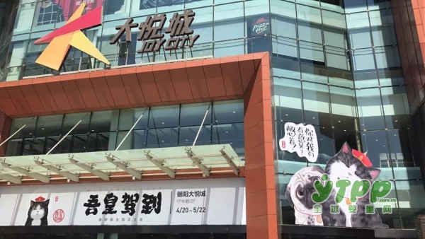 从拉斯维加斯到上海：中国迎来IP授权热潮