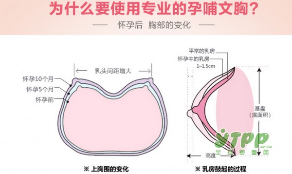一款睡觉也能穿的哺乳文胸 给你不同时期的健康呵护