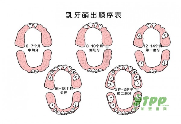 为什么这么小的宝宝会得龋齿 妈妈最易忽视的乳牙护理口腔发育的隐形杀手