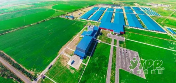 旗帜奶粉鲜活品质  打造“鲜活”奶粉的全新时代