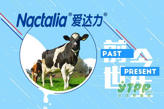 爱达力正在以“大牌身家”打开中国渠道  或将成为奶粉运营商的不二选择