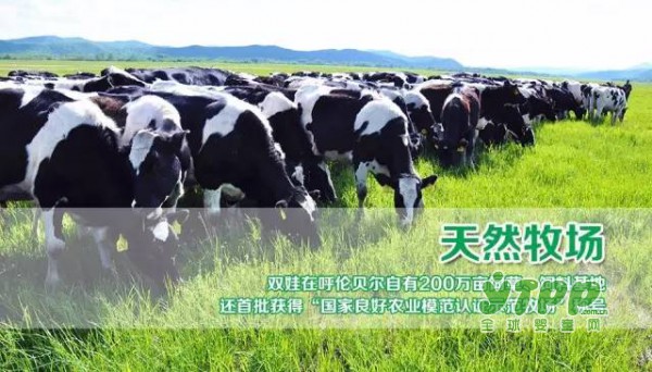 恭贺：双娃顺利通过国家配方奶粉注册