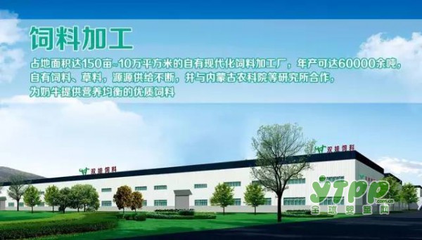 恭贺：双娃顺利通过国家配方奶粉注册