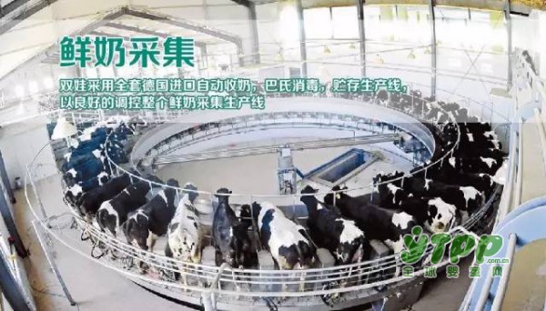 恭贺：双娃顺利通过国家配方奶粉注册