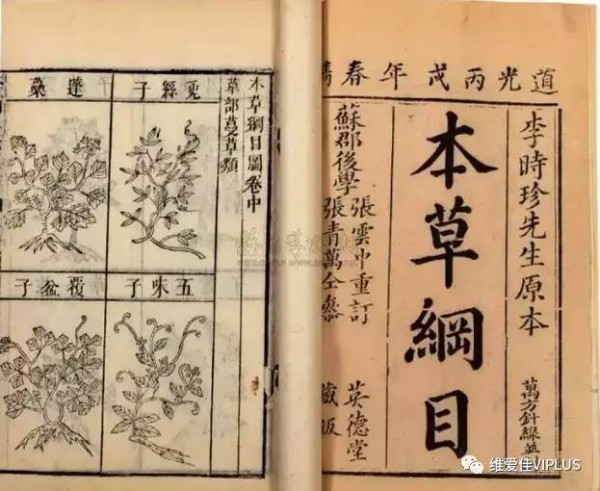 羊奶营养丰富  维爱佳宝宝最佳的食疗奶品