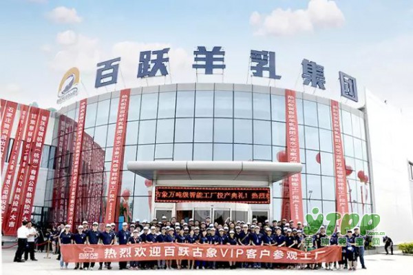 祝贺百跃羊乳集团携百跃古象参加第14届中国-东盟博览会