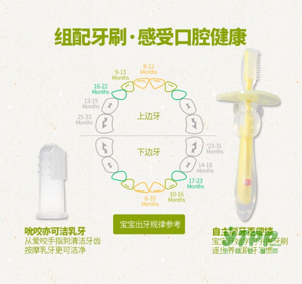 好孩子儿童牙刷套装  细心呵护各阶段宝宝的牙齿健康问题