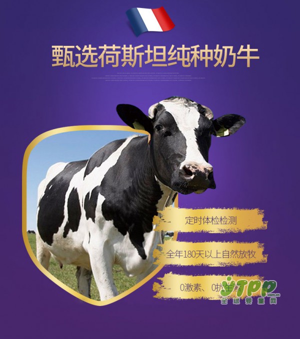 法版圣元优博婴儿奶粉  全新荣耀上市 离母乳更进一步