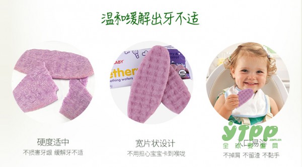 禧贝宝宝磨牙棒饼干   安全磨牙好选择