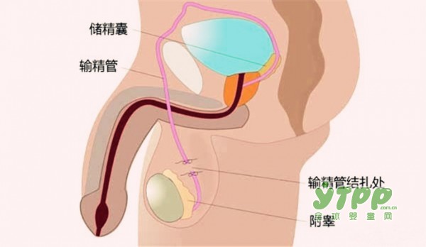怀孕生子后发现男方有家室 你说这荒唐吗 避孕有哪些措施