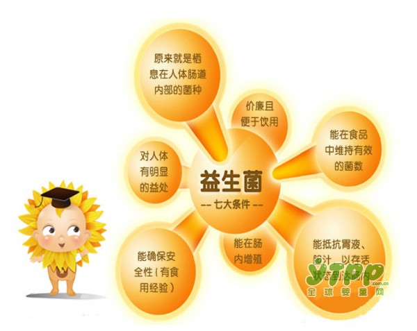 葵花童博士益生菌粉 IGF益生元黄金组合 成就宝宝健康好成长
