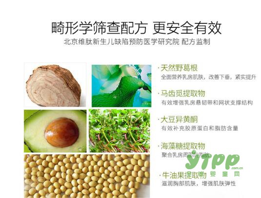 欧维尔胸部按摩霜  改善产后乳房下垂困扰让宝妈挺起来