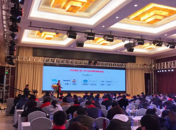 国产优质原创IP洛宝贝牵手青蛙王子   玩转品牌差异化营销