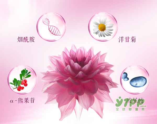 萃芙理孕妇墨菊肌底补水精华液   滴滴臻萃•让肌肤莹润透亮