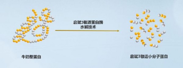 启赋敏适全面助力中国婴幼儿早期过敏预防管理