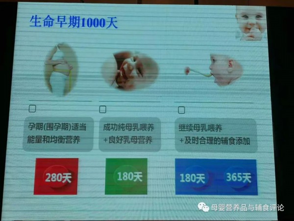 解读生命早期1000天 贝斯美专注做好宝宝第二餐