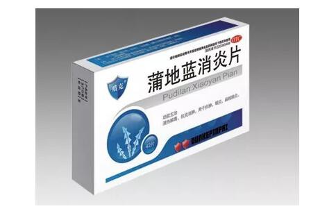 蒲地蓝增加不良反应说明   孕妇及过敏体质者慎用