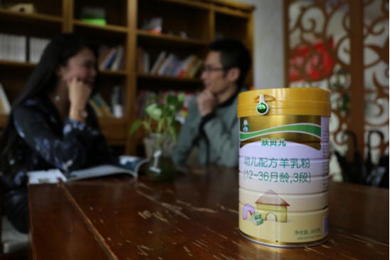 借势“千亿羊乳大业”东风 双11羊村深耕母婴数据新电商