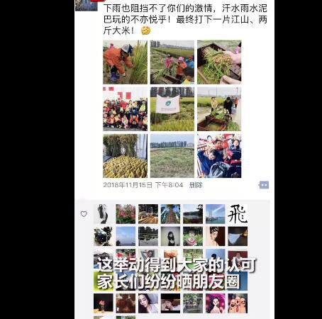幼儿园组织小朋友割水稻你怎么看    儿童安全是首位