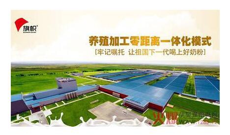旗帜奶粉中国“质造”的好奶粉  更适合中国宝宝