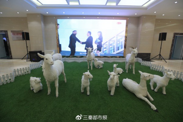 “全媒体行动”调研采访走进陕西和氏乳业   以卓越品质书写国产奶粉传奇
