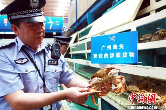 广州海关破获跨境电商走私   虚假订单化整为零•走私奶粉案值逾亿元