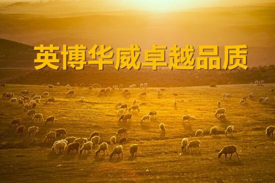 英博华威以卓越品质打造国产奶粉品牌    帮助宝宝健康成长