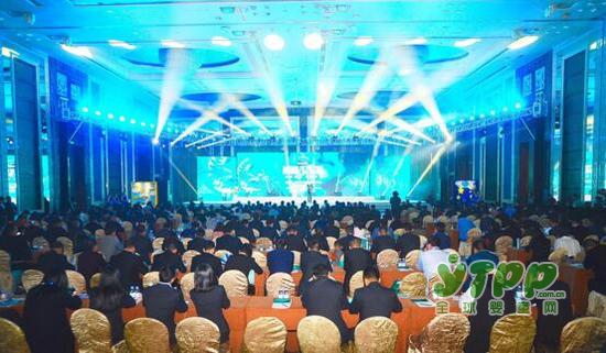 新西兰咔哇熊全新包装升级  亮相于2018全国经销商大会 开启全球大赏