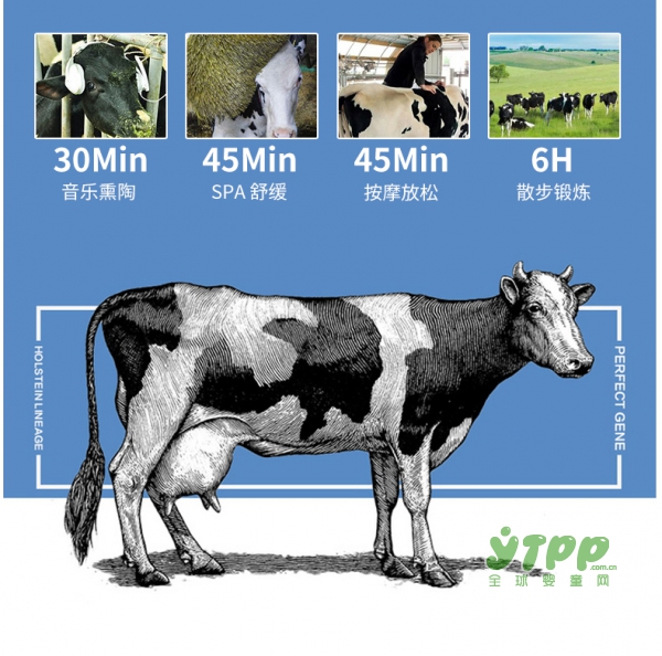 ARLA阿拉宝贝与我有机奶粉  简约高端的全新包装强势登陆