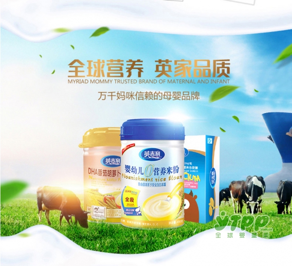 英吉利婴儿DHA鱼肉蔬菜小米粉  三重保障体系呵护宝宝健康成长