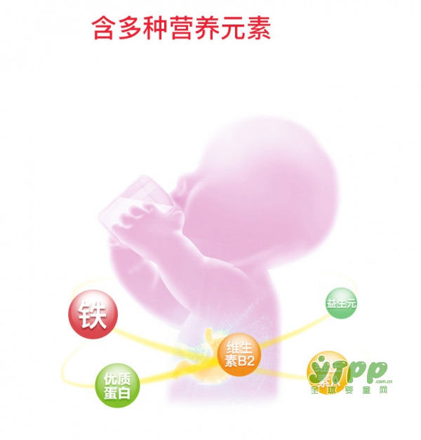 伊威婴幼儿全机能猪肝粉   营养“铁”三角  探索肝粉的营养秘密