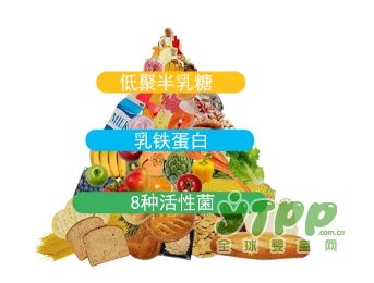 分阶段定制专业益生菌 Life Space益生菌呵护宝宝健康成长