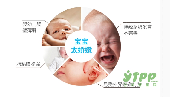 分阶段定制专业益生菌 Life Space益生菌呵护宝宝健康成长