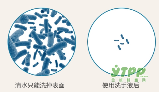 如何宝宝孩子的天生的探索欲 甘尼克天然保护释放天性