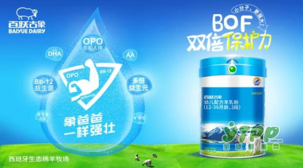 百跃古象2018第一季度大区经理会议—聚象势