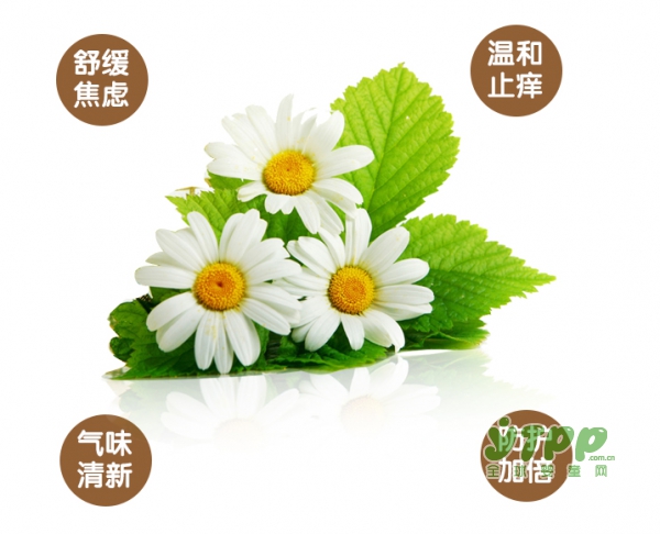 炎炎夏日孩子的肌肤问题如何解决 青蛙王子玉米粉爽身粉温和止痒