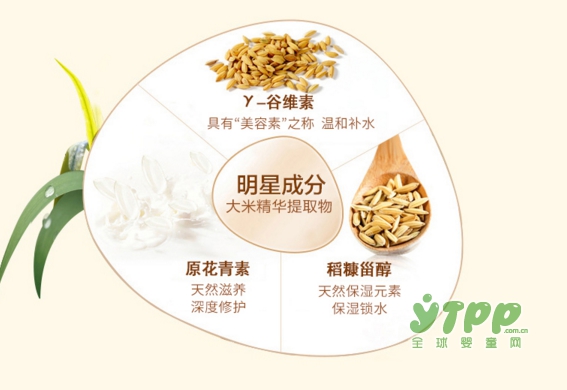 孕期母亲的皮肤紊乱易缺水 植物主义孕妇护肤品六部解决孕妈问题