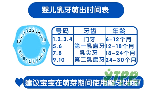 贝因美营养磨牙棒专为中国宝宝研制 好吃又好玩让孩子快乐磨牙