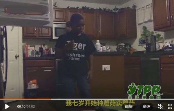 7岁男孩种蘑菇创业 你家孩子还在玩吃鸡？