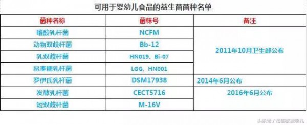 生命阳光携手益生菌国际高峰论坛关爱肠道健康