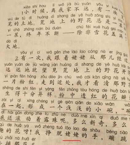 “外婆”改成“姥姥”? 小学语文教材改版引热议