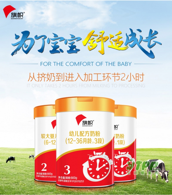 旗帜婴儿配方牛奶粉  呵护宝宝健康成长