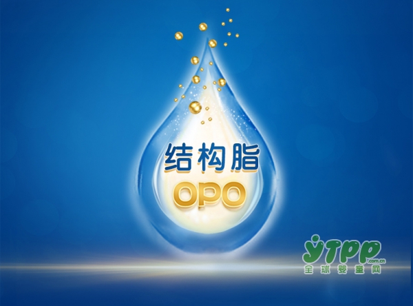 Anbolac安宝乐OPO幼儿配方奶粉    更加贴近宝宝的营养需求